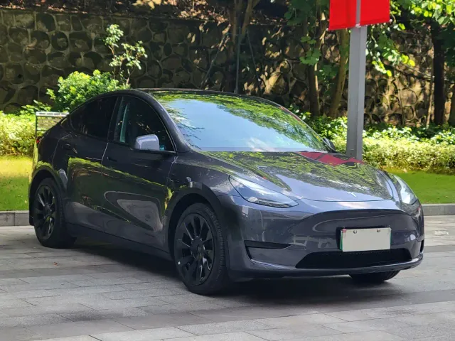 Tesla Model Y — Фото автомобиля 3