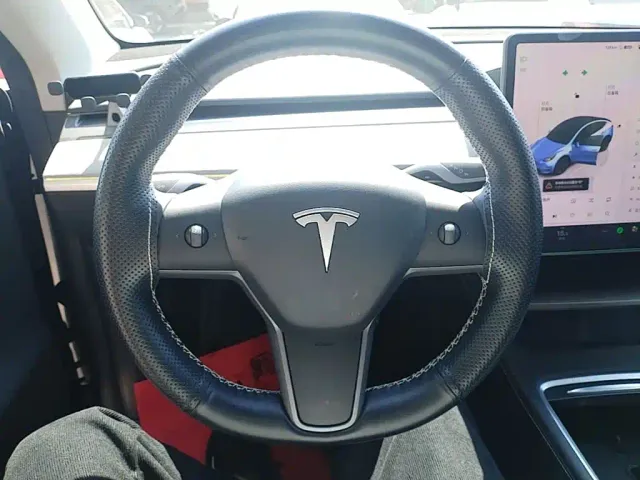 Tesla Model Y — Фото автомобиля 10