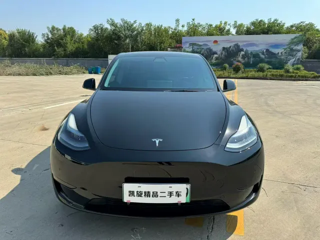 Tesla Model Y — Фото автомобиля 2