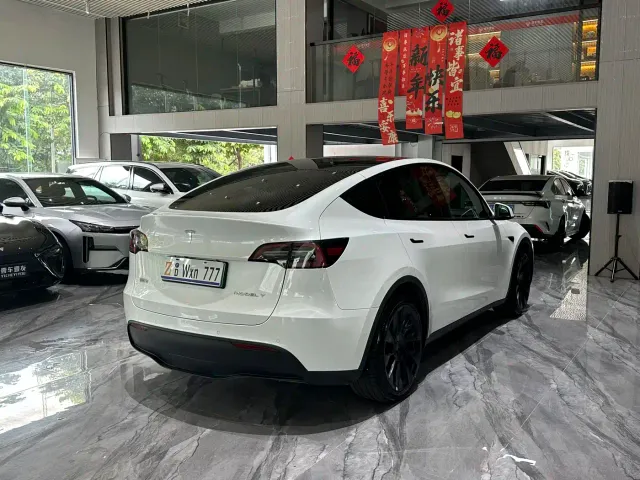 Tesla Model Y — Фото автомобиля 20