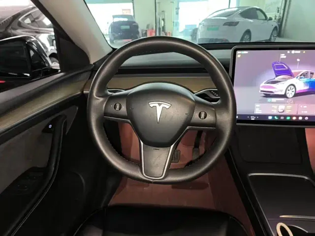 Tesla Model Y — Фото автомобиля 10