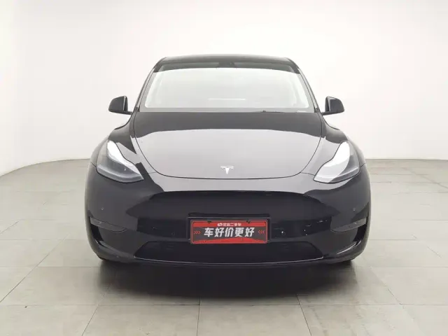 Tesla Model Y — Фото автомобиля 3