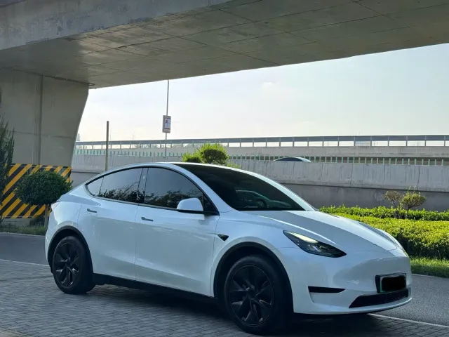 Tesla Model Y — Фото автомобиля 3