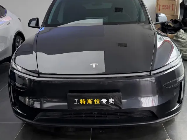 Tesla Model Y — Фото автомобиля 2