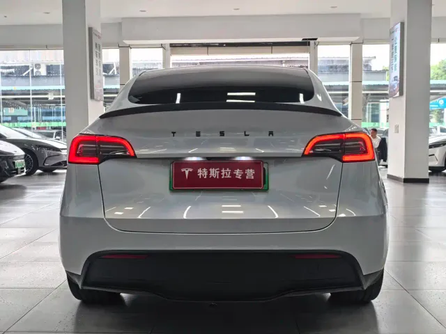 Tesla Model Y — Фото автомобиля 15