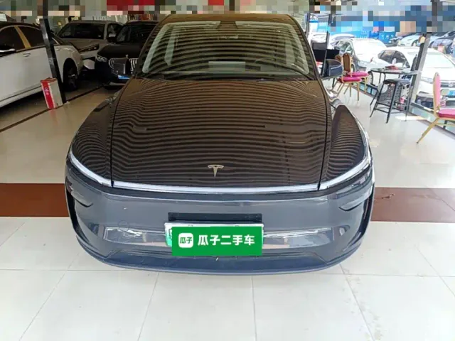 Tesla Model Y — Фото автомобиля 2