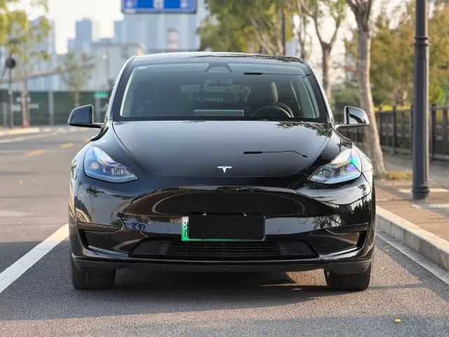 Tesla Model Y — Фото автомобиля 2
