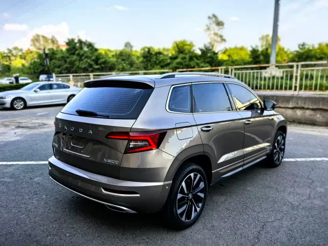 Skoda Karoq — Фото автомобиля 6