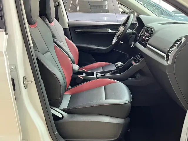 Skoda Karoq — Фото автомобиля 16