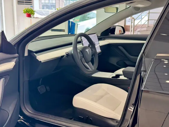 Tesla Model 3 — Фото автомобиля 4