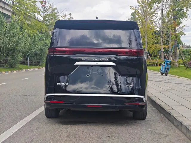 Denza D9 — Фото автомобиля 15