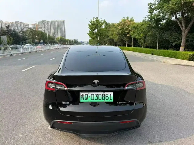 Tesla Model Y — Фото автомобиля 7