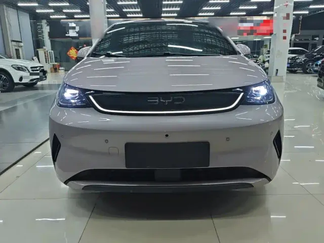 BYD Dolphin — Фото автомобиля 2