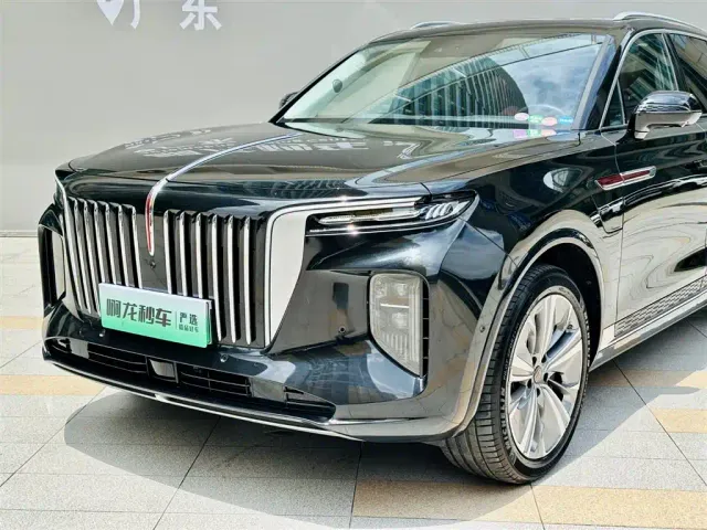 Hongqi E-HS9 — Фото автомобиля 16