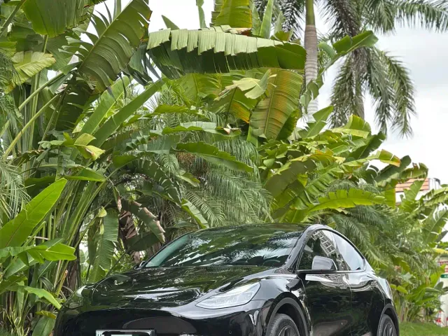 Tesla Model Y — Фото автомобиля 6