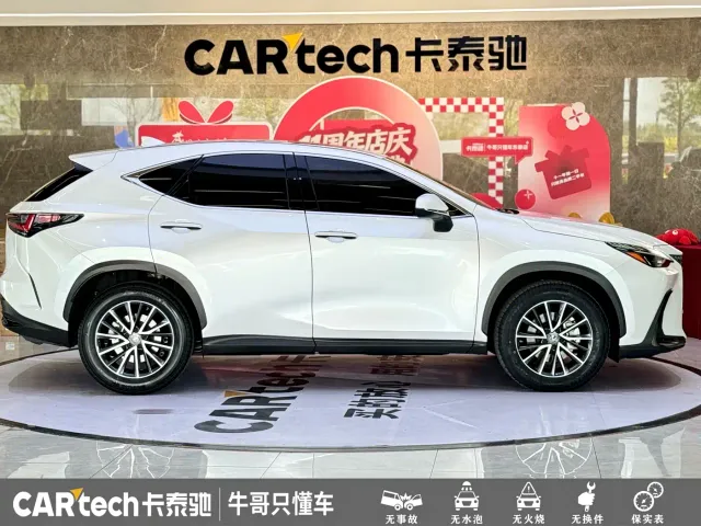 Lexus NX — Фото автомобиля 23