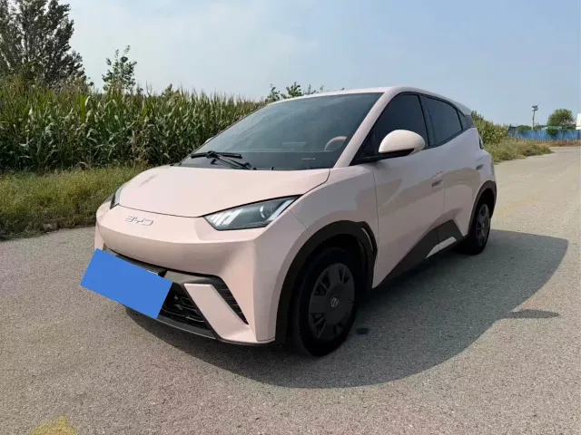 Фотография автомобиля — BYD Seagull
