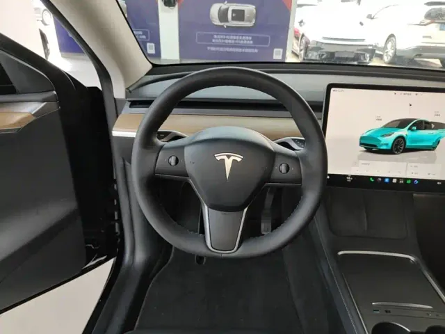 Tesla Model Y — Фото автомобиля 10