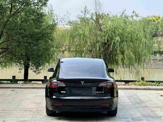 Tesla Model 3 2022 Model Rear-Wheel Drive Version — Фото автомобиля 3