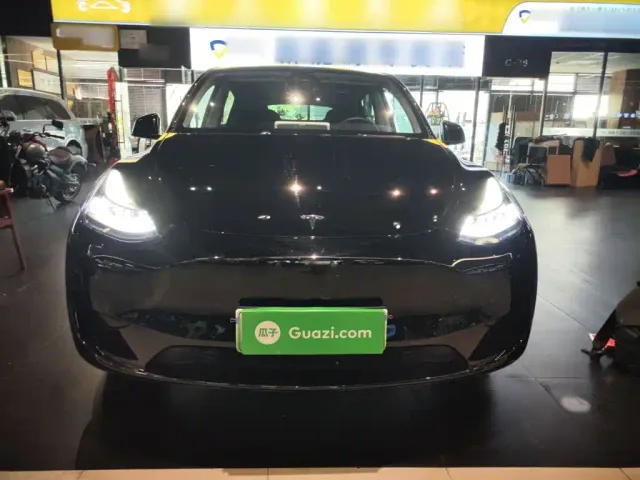 Tesla Model Y — Фото автомобиля 2