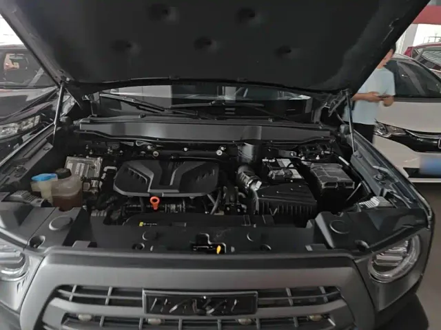 Haval Big Dog — Фото автомобиля 19