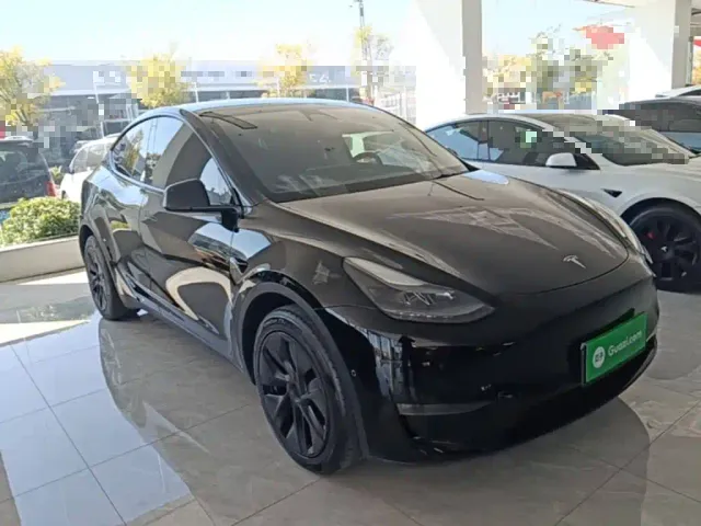 Tesla Model Y — Фото автомобиля 3