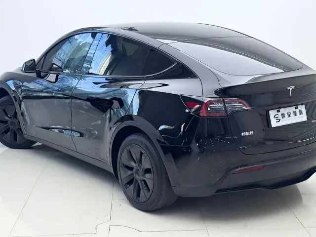 Tesla Model Y — Фото автомобиля 11