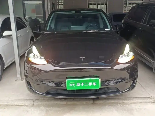 Tesla Model Y — Фото автомобиля 2