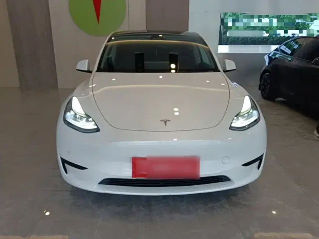 Tesla Model Y — Фото автомобиля 2