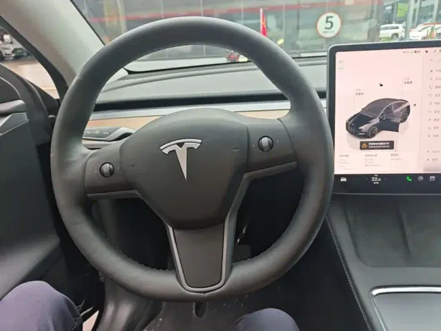 Tesla Model Y — Фото автомобиля 10