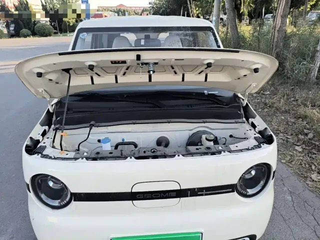 Geely Panda — Фото автомобиля 19