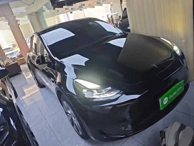 Tesla Model Y — Фото автомобиля 3