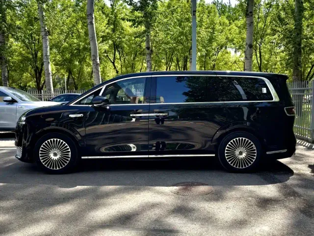 Luxeed Zunjie MPV — Фото автомобиля 7