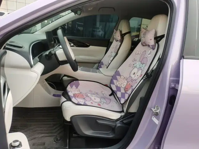 Geely Starry Wish — Фото автомобиля 14