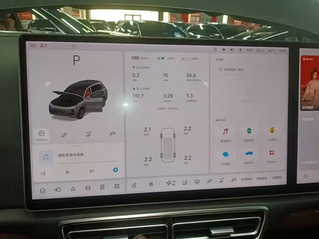 Li Auto L8 — Фото автомобиля 11