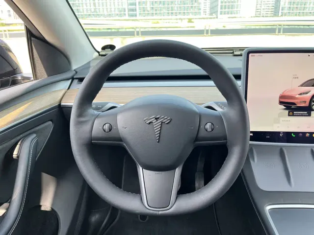 Tesla Model Y — Фото автомобиля 9