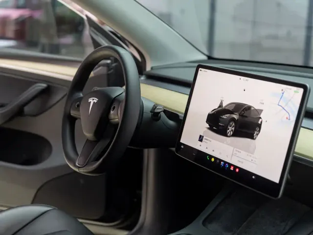 Tesla Model Y — Фото автомобиля 12