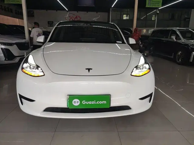 Tesla Model Y — Фото автомобиля 2