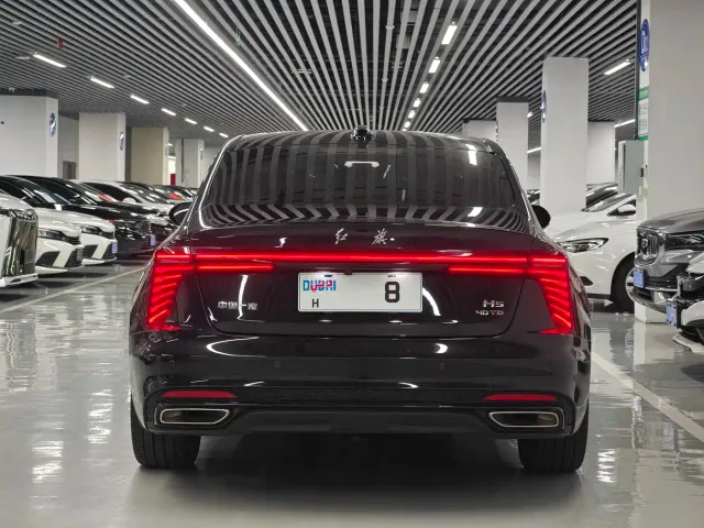 Hongqi H5 — Фото автомобиля 15