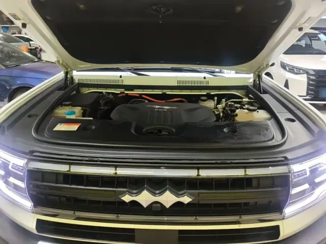 BYD FangChengBao Leopard 5 — Фото автомобиля 19