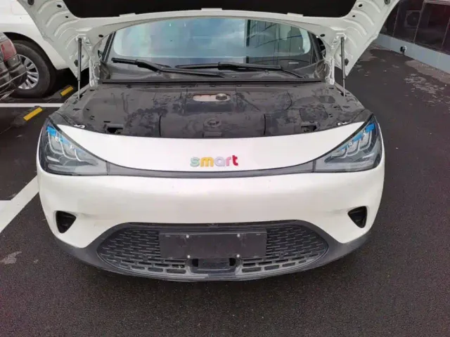 smart smart Elf #1 2024 Pro Edition — Фото автомобиля 19