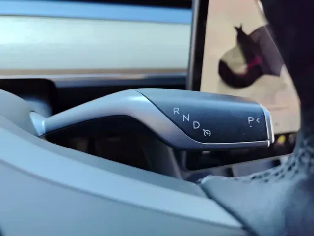 Tesla Model Y — Фото автомобиля 13