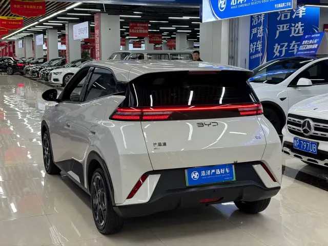 BYD Seagull — Фото автомобиля 11