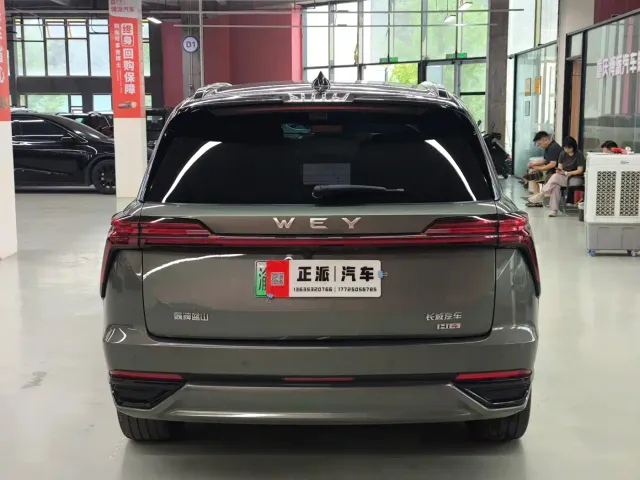 Wey Lanshan — Фото автомобиля 4