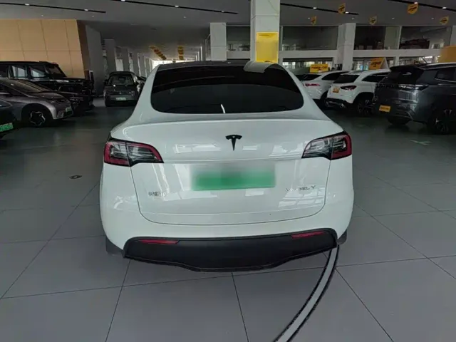 Tesla Model Y — Фото автомобиля 5