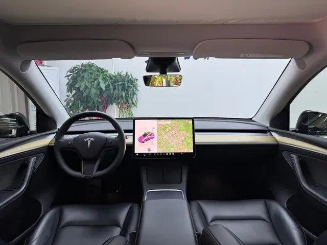 Tesla Model Y — Фото автомобиля 4