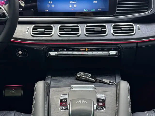 Mercedes-Benz Maybach GLS — Фото автомобиля 19