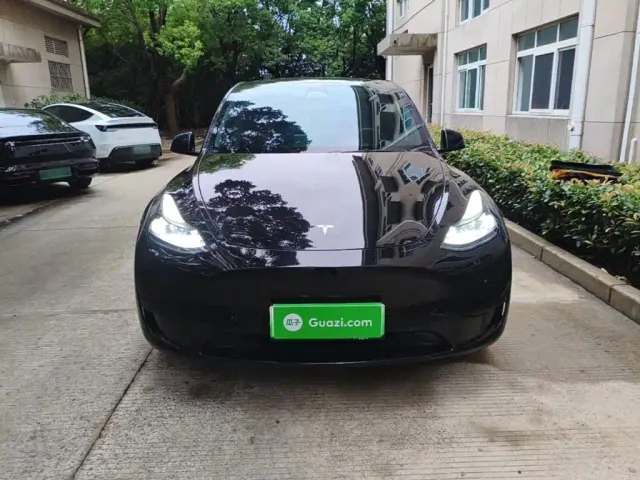 Tesla Model Y — Фото автомобиля 2