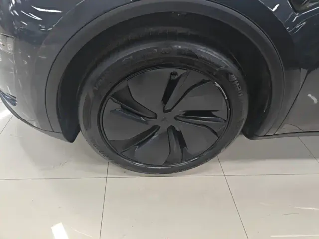 Tesla Model Y — Фото автомобиля 22