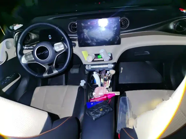 BYD Dolphin — Фото автомобиля 10